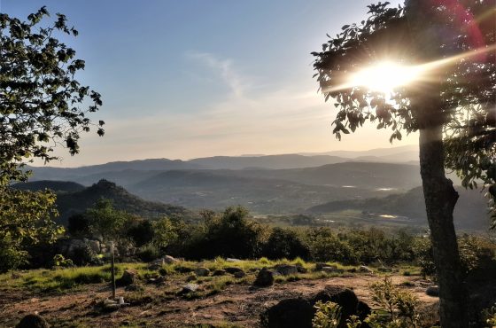 Vacant Land / Plot in The Rest Nature Estate For Sale